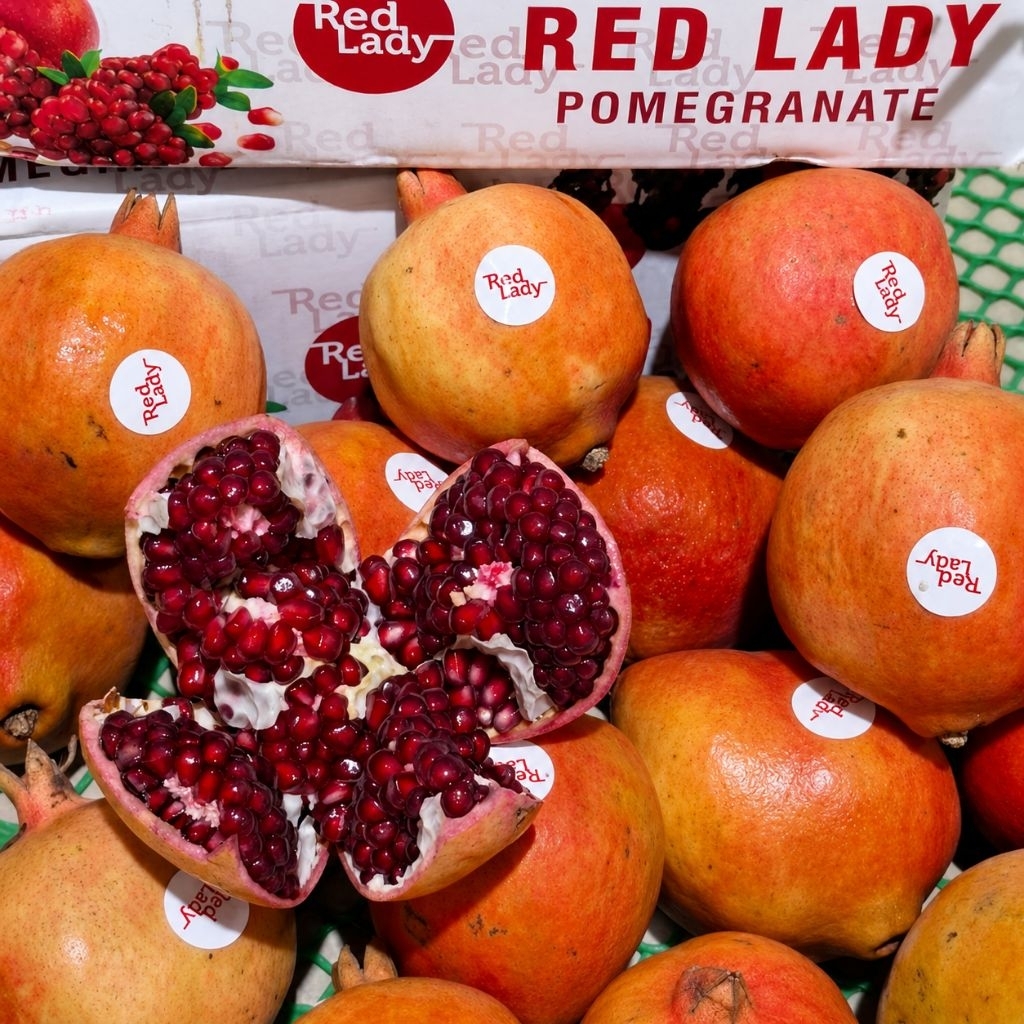 “Delima Red Lady Premium Super Manis Import Fresh Juicy Isi Merah” 1kg