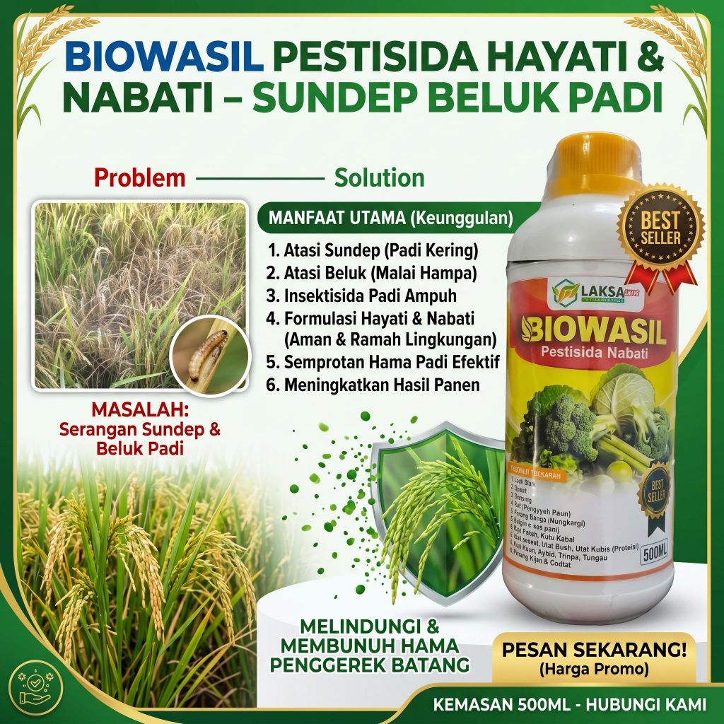 TERLARIS BIOWASIL Obat Semprot Sundep Padi Obat Beluk Pada Tanaman Padi Paling Ampuh