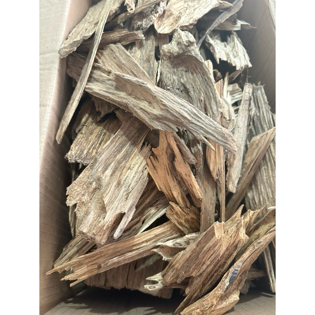 Kayu gaharu papua