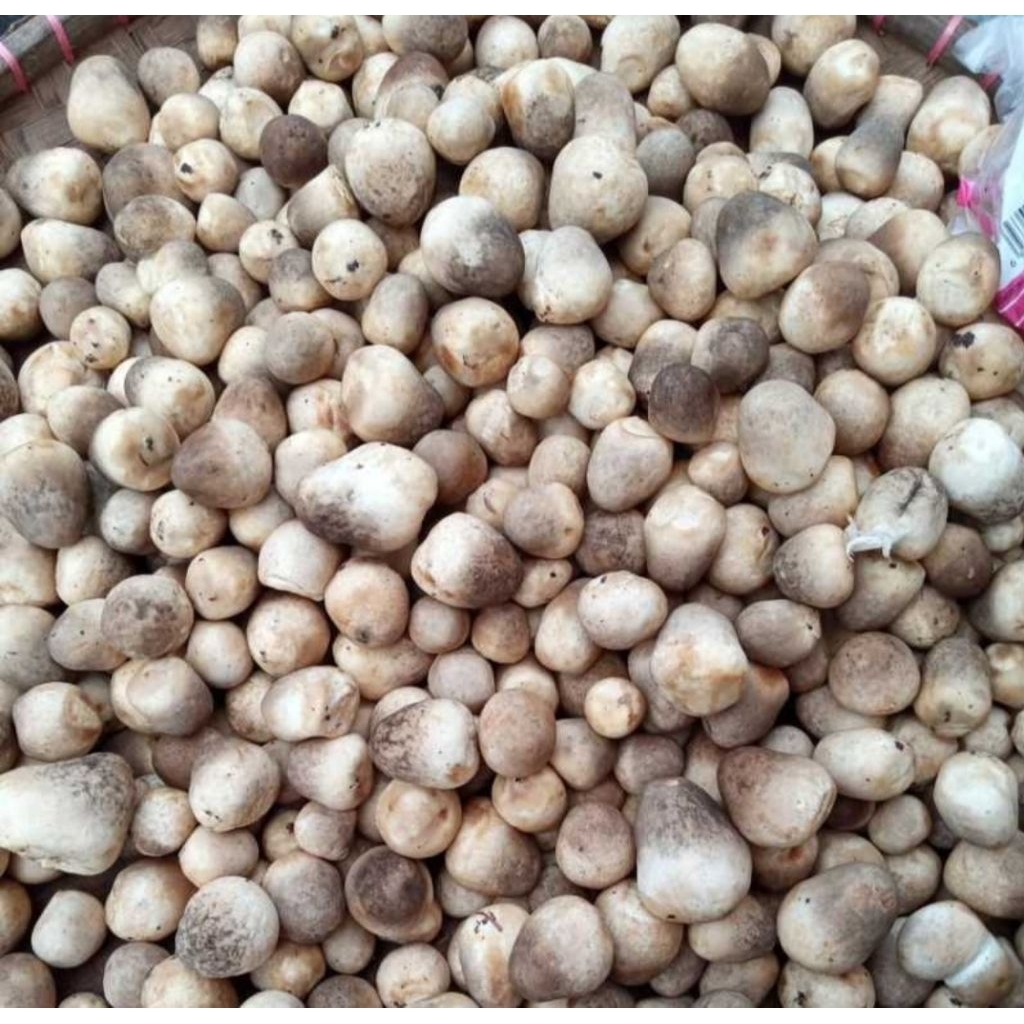 Jamur merang segar