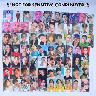 PHOTOCARD MINGYU SEVENTEEN OFFICIAL MEMKIT PILOT ABAS FTS MBEK TOMAT FML BE THE SUN DEAR VER 17RH