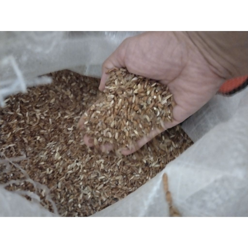 Beras Merah 1kg
