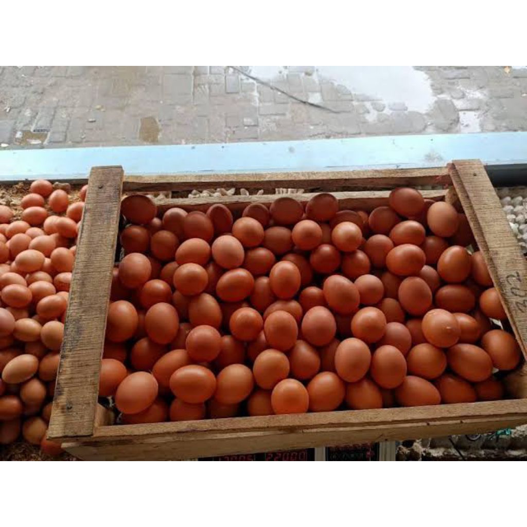 TELUR AYAM 1KG