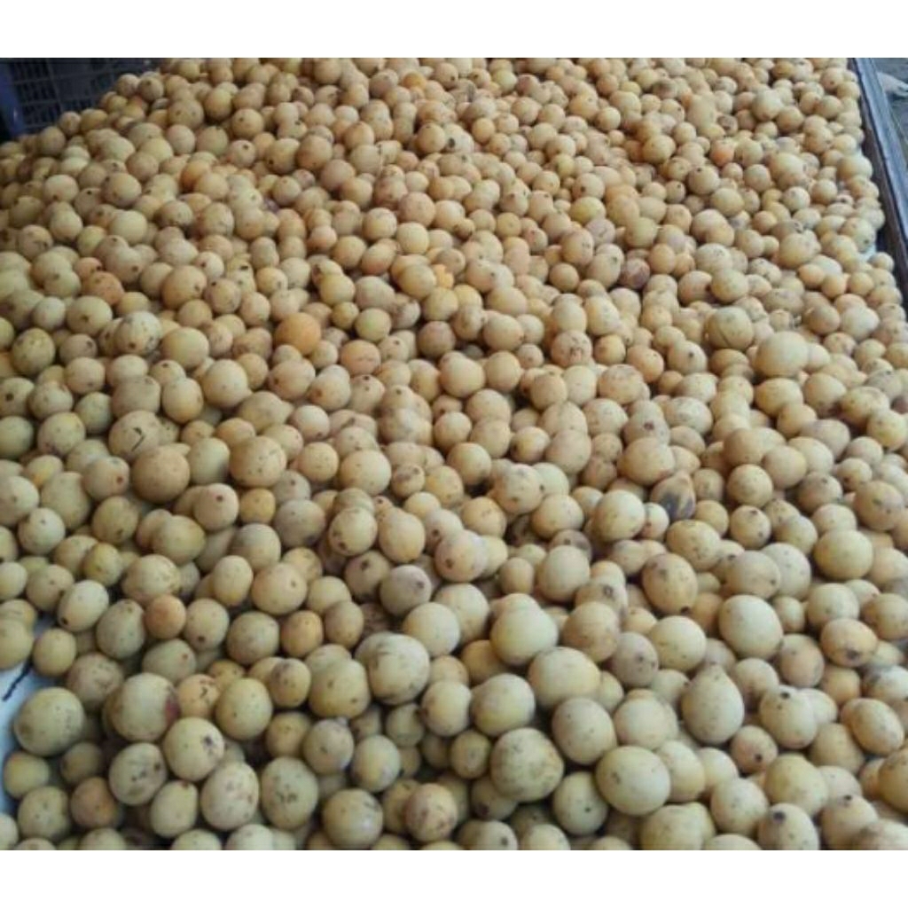 buah duku 1 kg