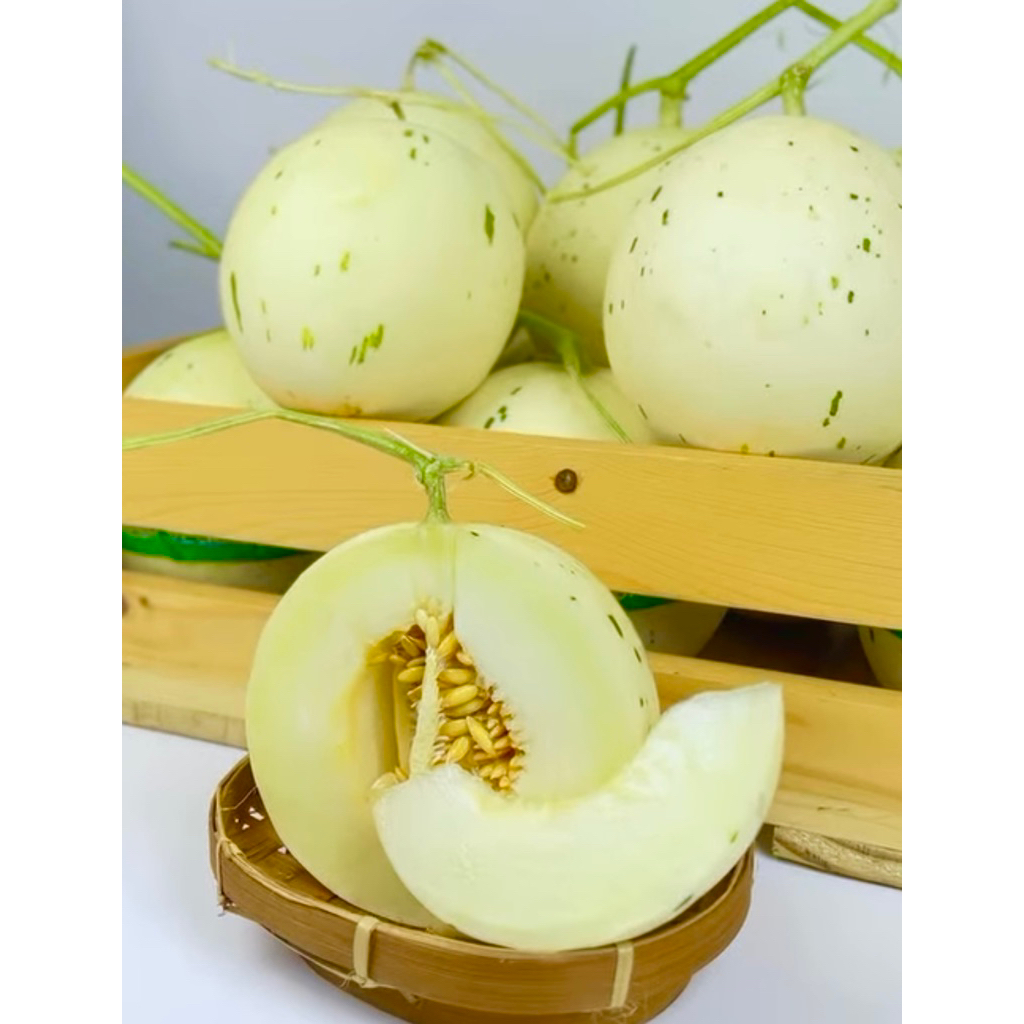 PROMO Melon Organik Sweet Dalmation | Manis | 1pcs