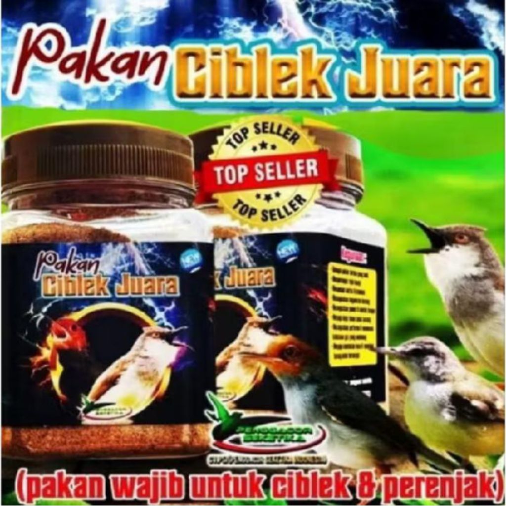Pakan Ciblek Juara Voer Makanan Burung Ciblek dan Perenjak