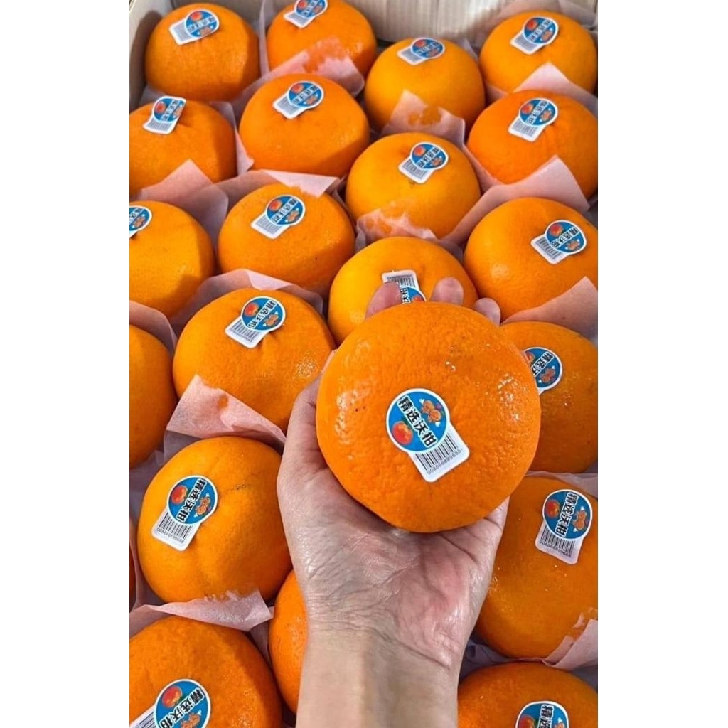 ANEKA BUAH SEGAR JERUK WAGON - APEL - DUKU (KRIAN) KHUSUS INSTAN