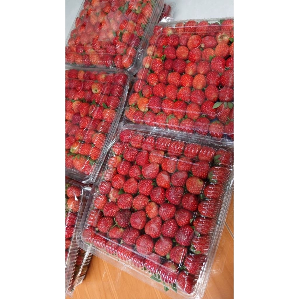 Buah Strawberry kemasan 1kg Segar - Manis Asam, Fresh, Segar 1kg