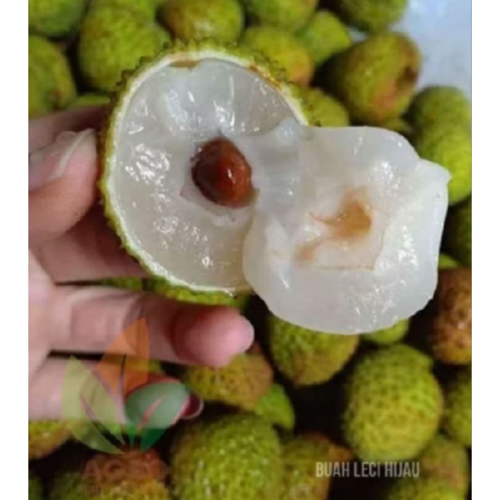 LECI MADU HIJAU MANIS SEGAR 1 KG