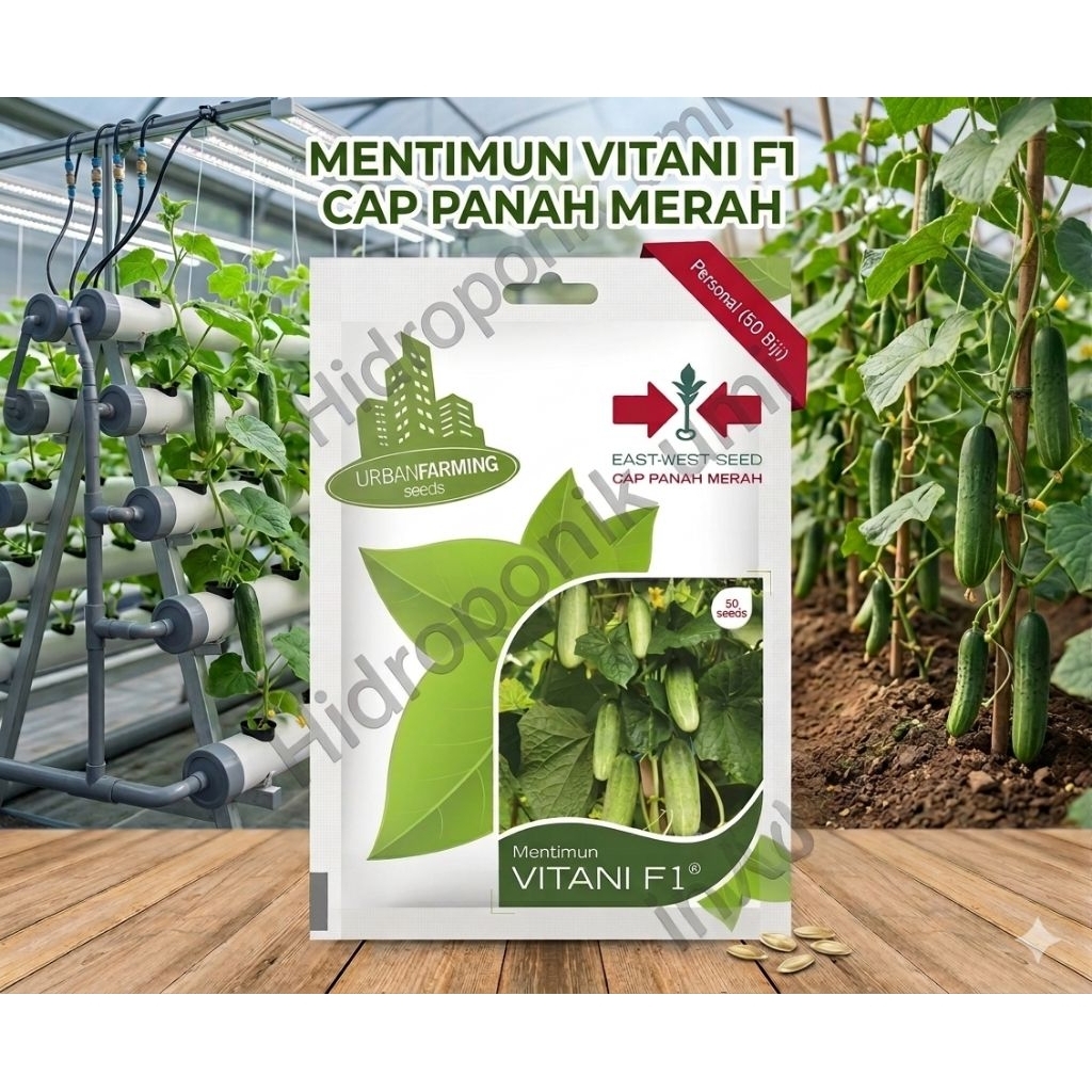 Benih Mentimun Vitani F1
