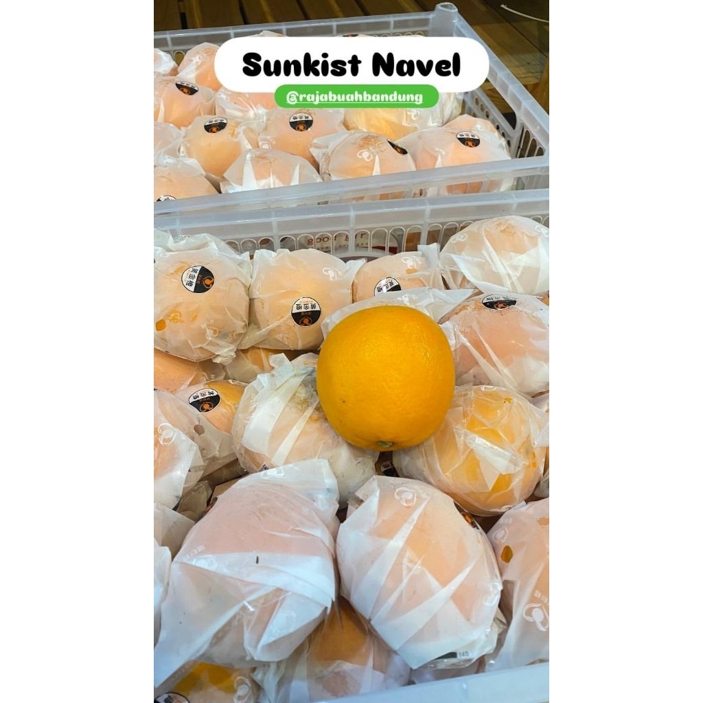 Sunkist Navel RRC