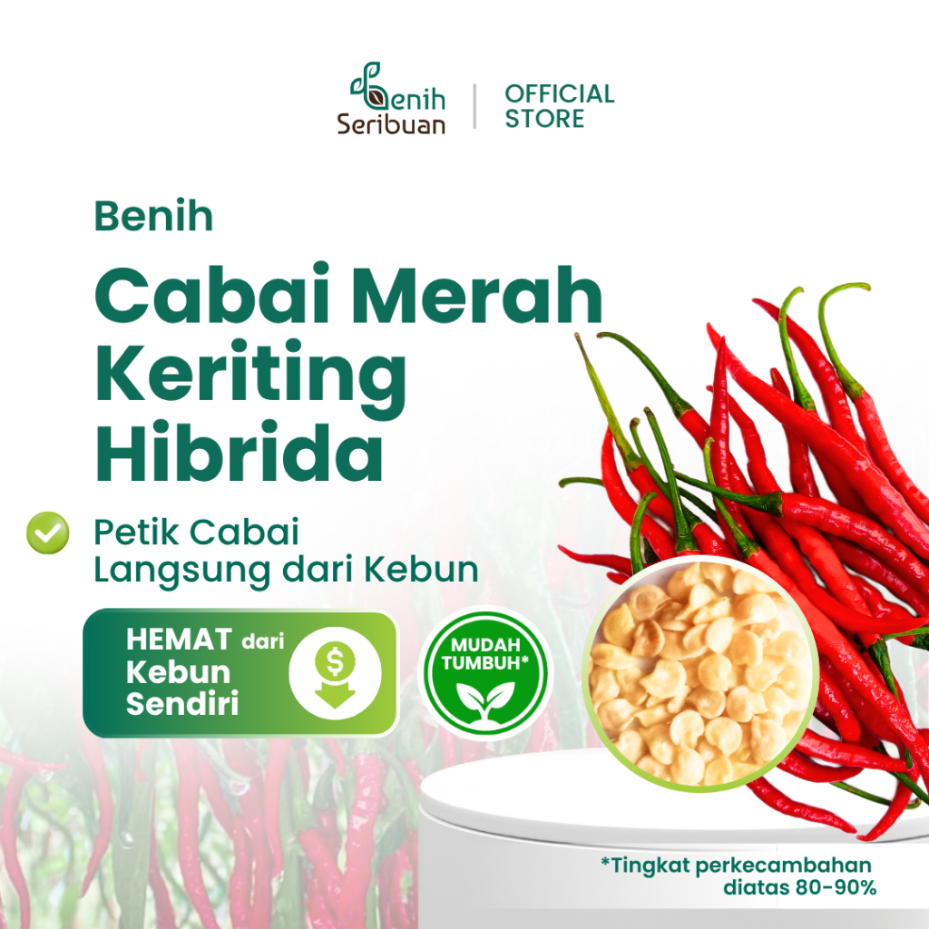 Benih Cabe Keriting Merah F1 Hibrida