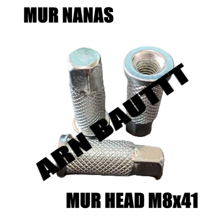 MUR NANAS/MUR HEAD M8x41