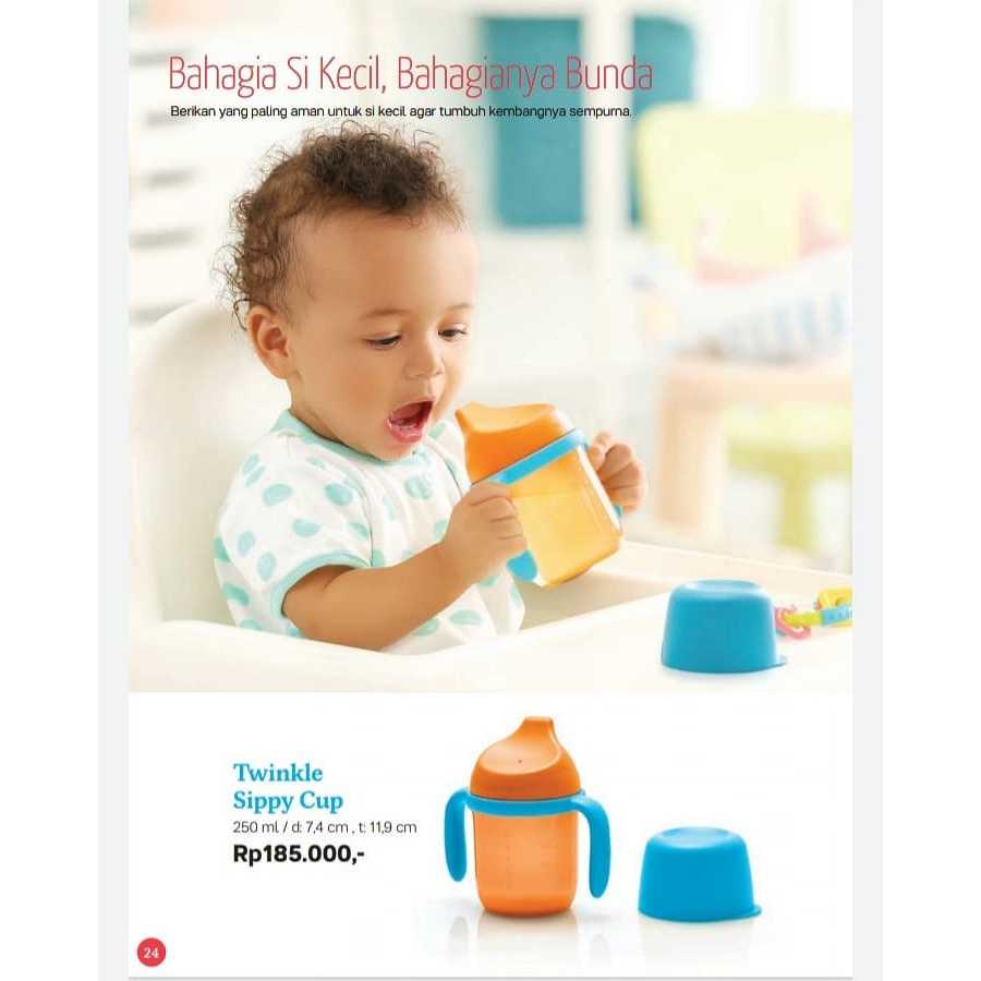 Twinkle Sippy Cup 250ml Tupperware
