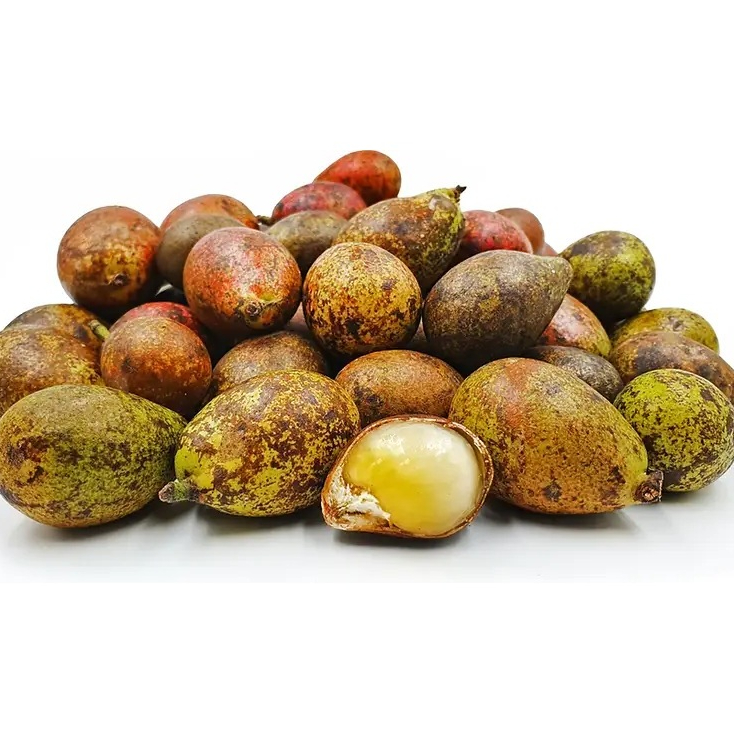 entres matoa kulit kuning 5 mata tunas