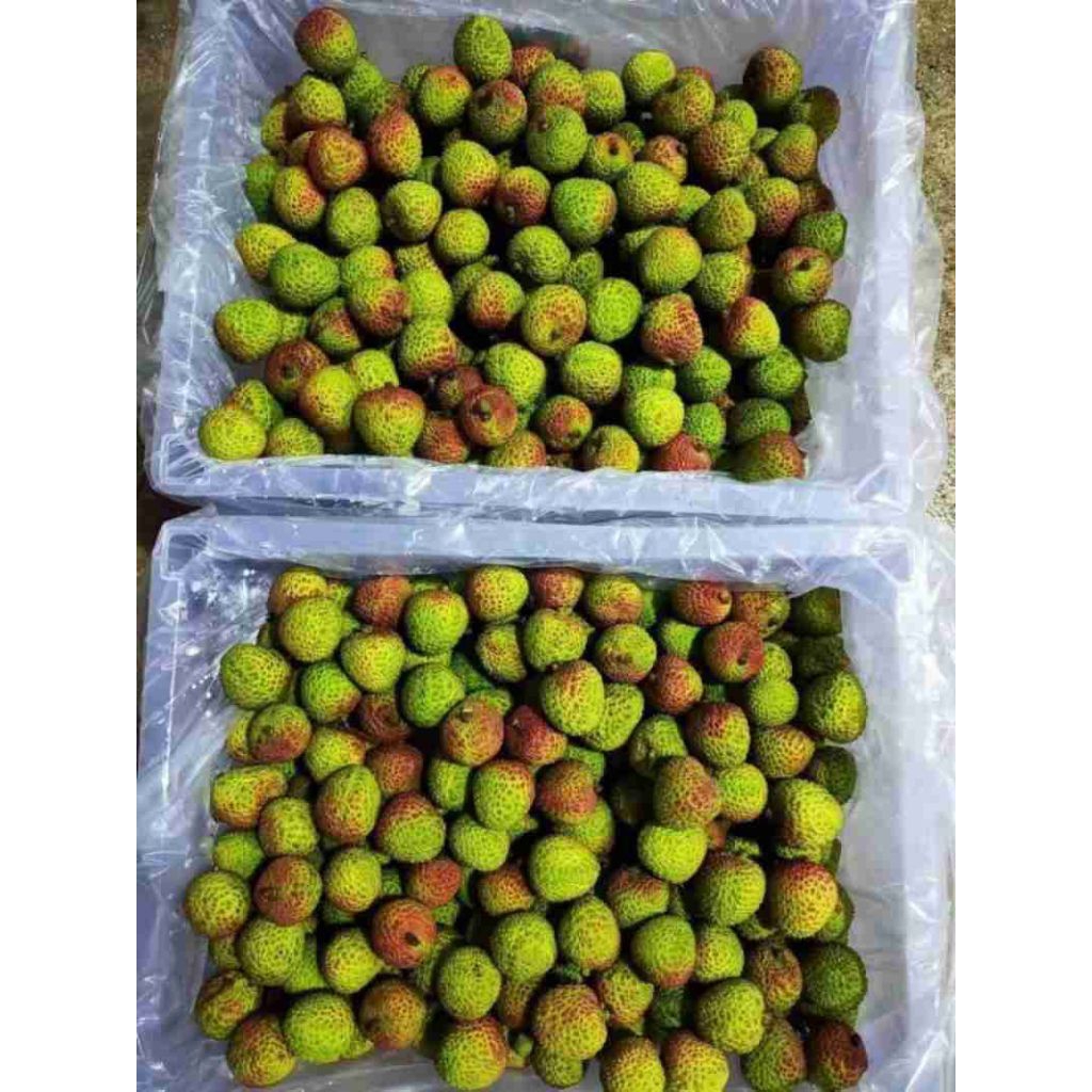 instan buah leci madu fresh per pack 500 gr