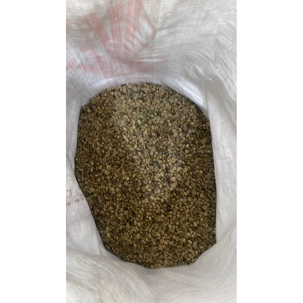 Biji kopi robusta wonosobo