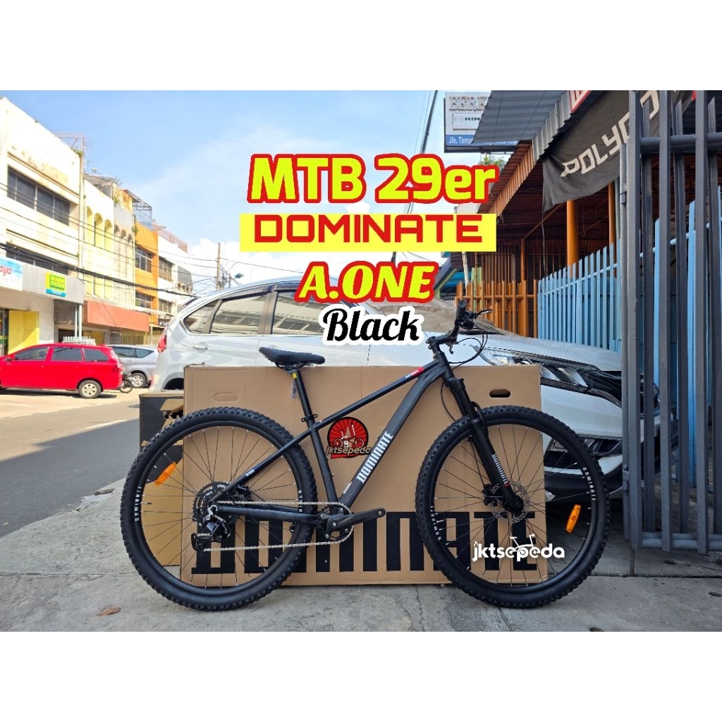 Sepeda MTB DOMINATE A ONE 29in