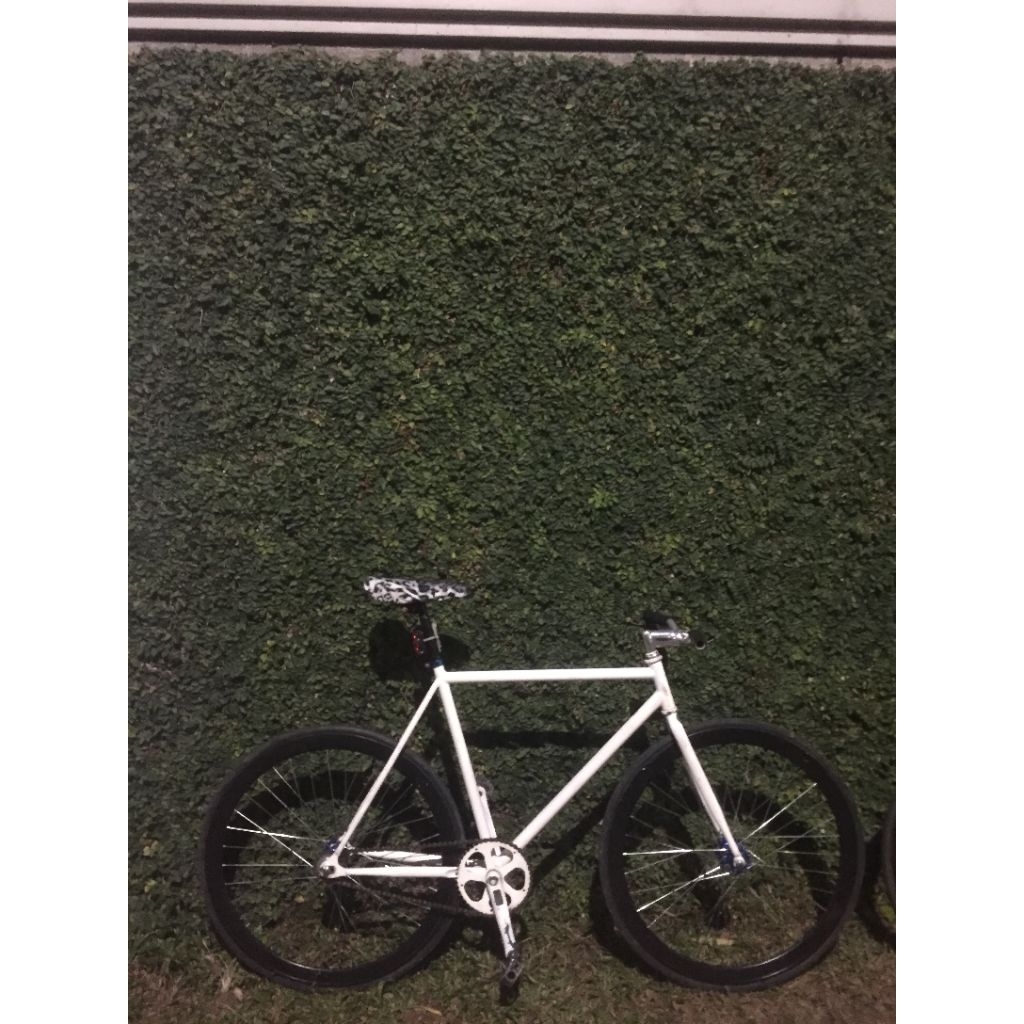 Fixie kalcer Soloist