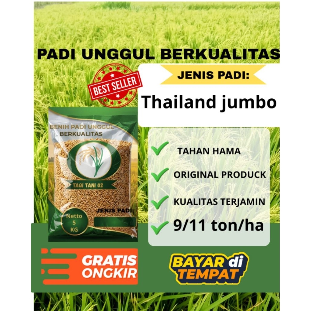 inpari 32 MAXIPRO benih padi unggul kualitas super kemasan 5kg , bibit padi batang kokoh tahan rebah