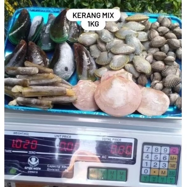 Kerang Mix / Kerang Totok / Kerang Tahu / Kerang Ijo / Kerang Batik