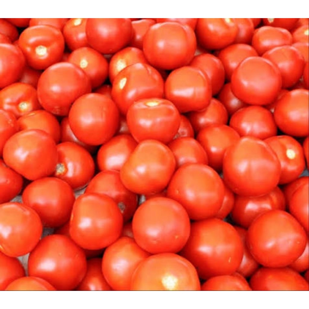 Tomat cherry merah
