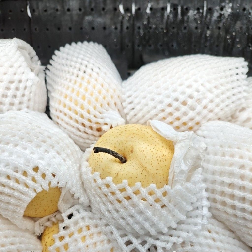 Buah Pir 1.5kg