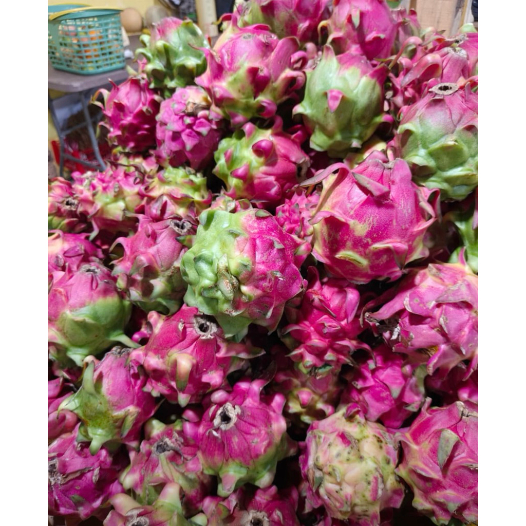 Buah Naga 1kg buah Naga 1 kilogram