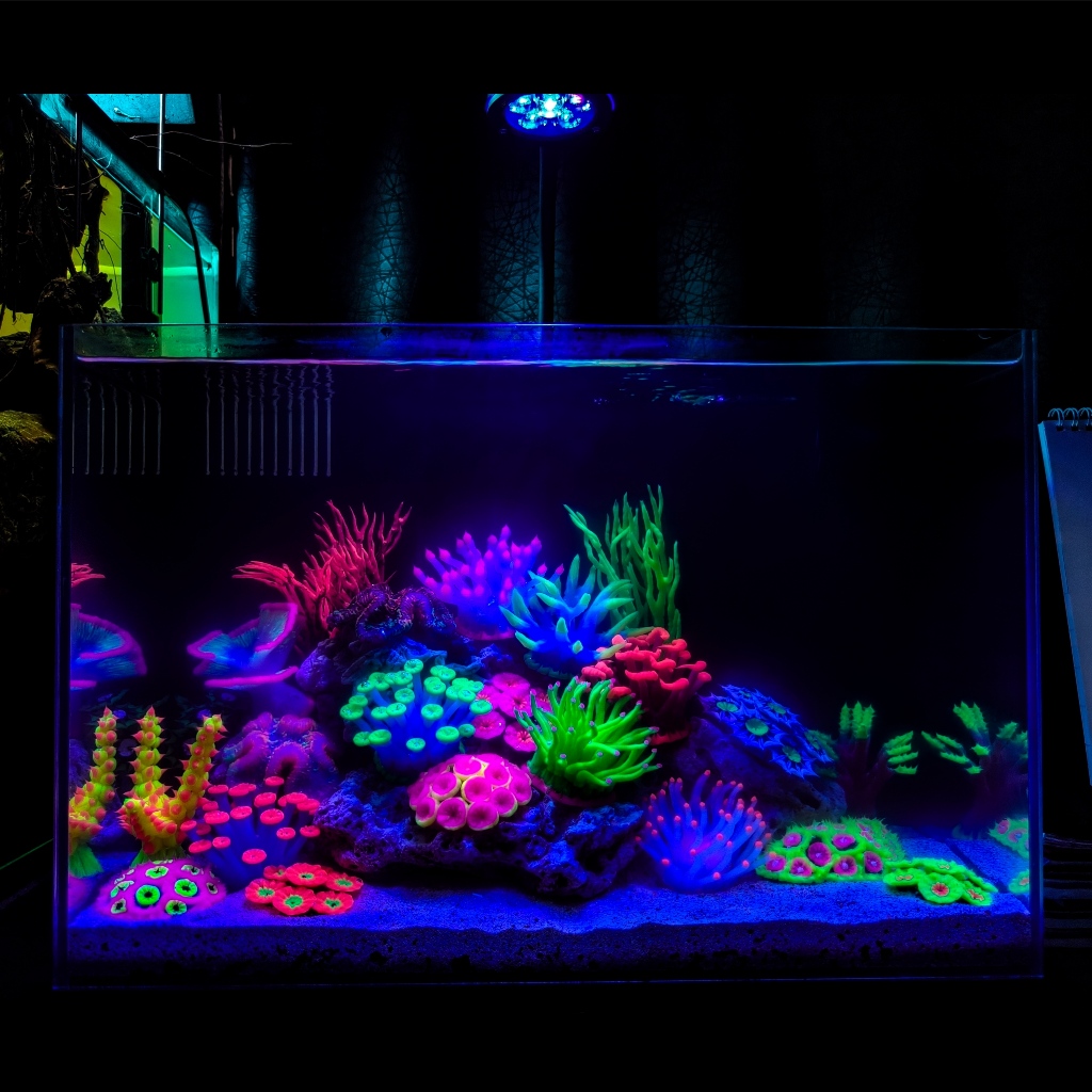 hiasan aquarium silikon coral