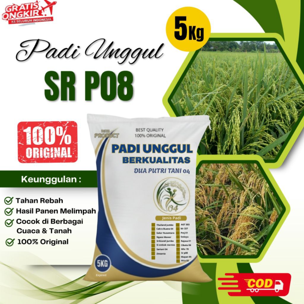Bibit Padi Unggul SR P08 Kemasan 5kg