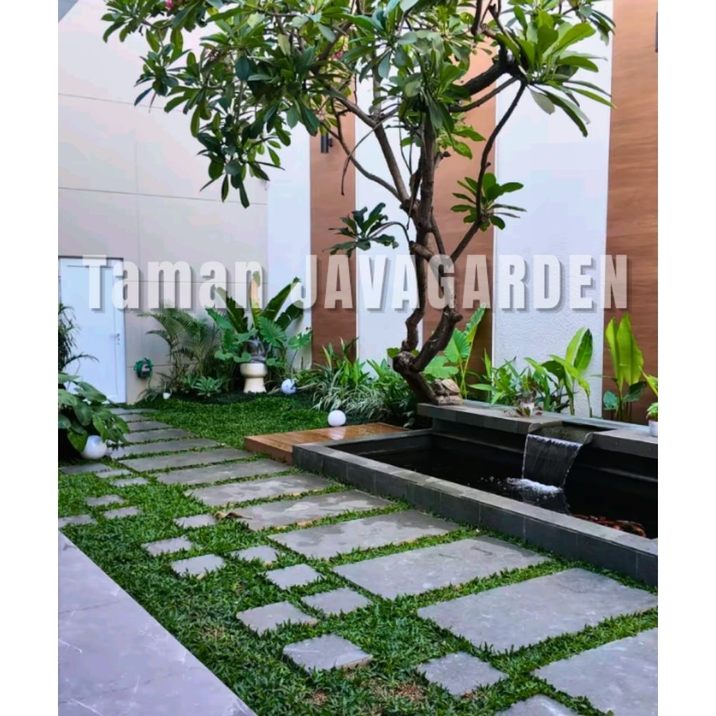 Kolam Ikan Minimalis/Taman minimalis