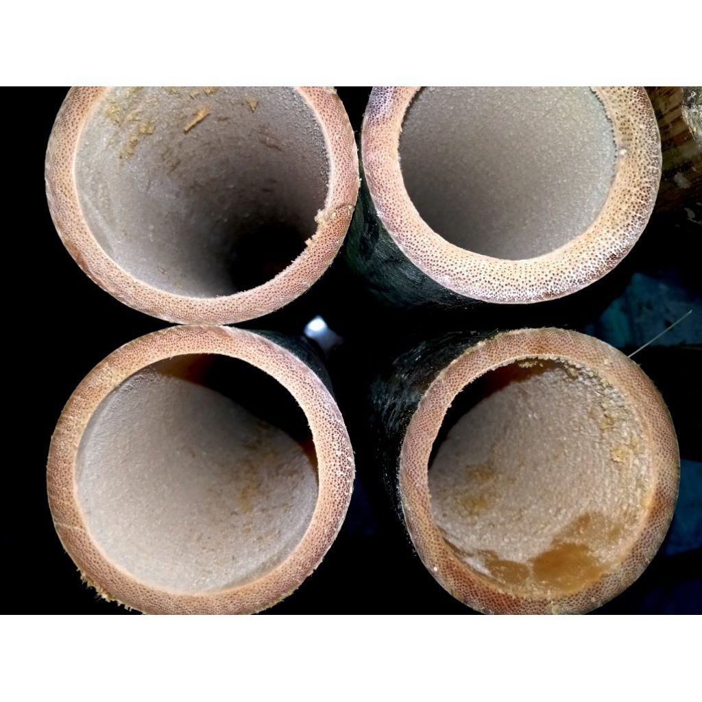 Bambu APUS/Bambu Bahan Layangan/Bambu Bulat Bahan Arku Layangan/Bambu Bahan Pagar Murah