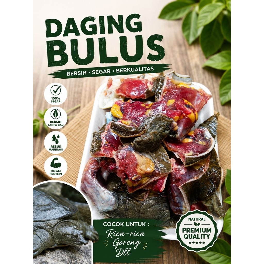 Daging Bulus 1kg Rebus Labi-labi menyembuhkan luka