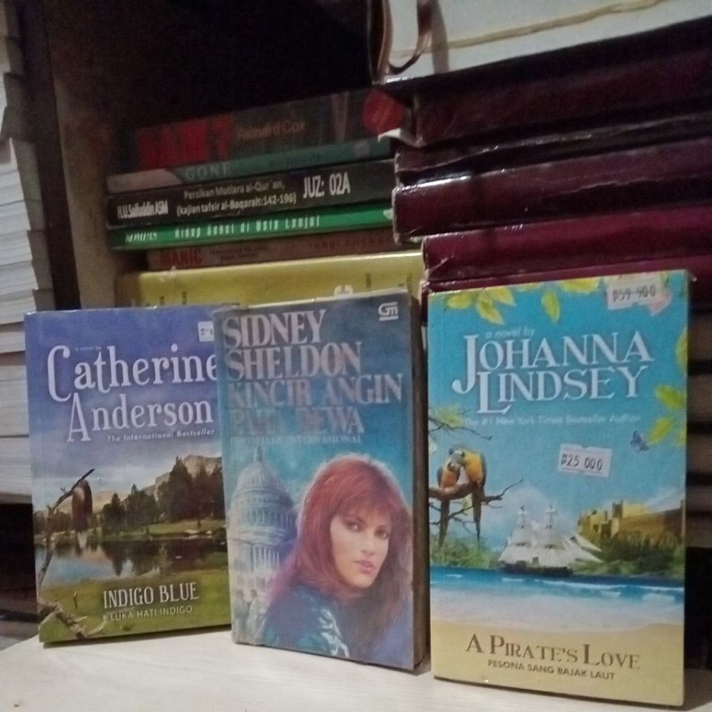 novel johanna lindsey(pesona sang bajak laut),sidney sheldon(kincir angin para dewa),catherine  ande