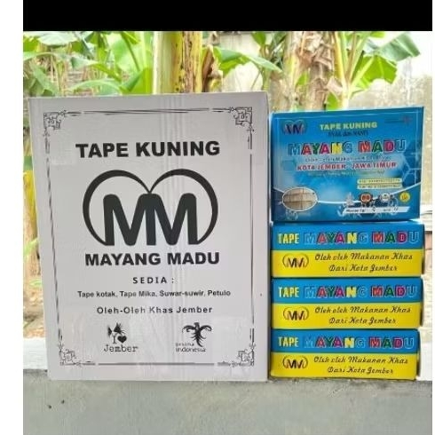 Buah Singkong Ragi (tape) Mayamg Madu
