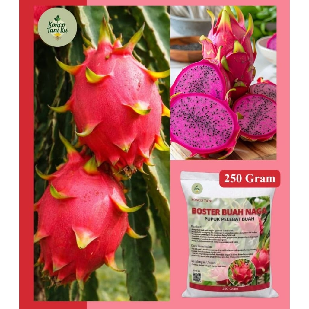 pupuk organik buah naga/booster buah naga