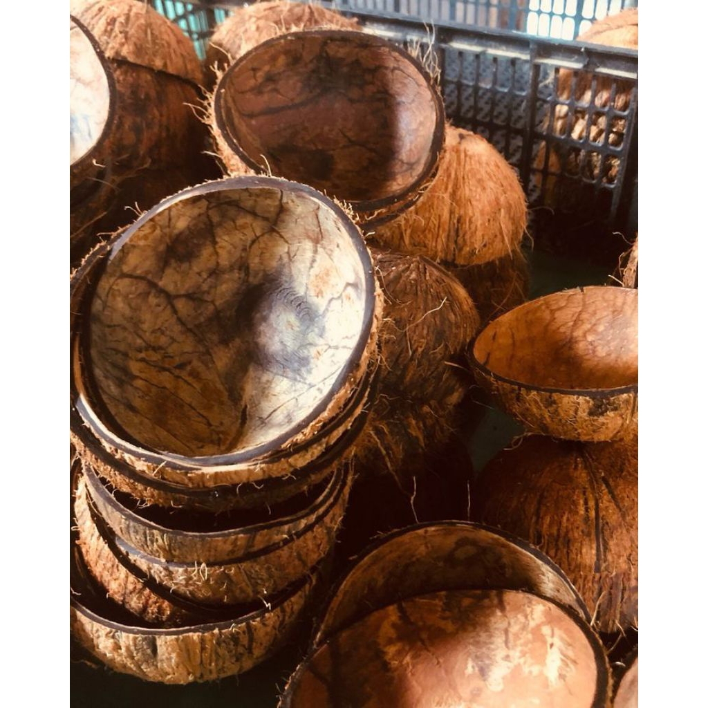 Batok Kelapa Utuh Batok kelapa Setengah Lingkaran Batok kelapa Bahan Kerajinan Serbaguna