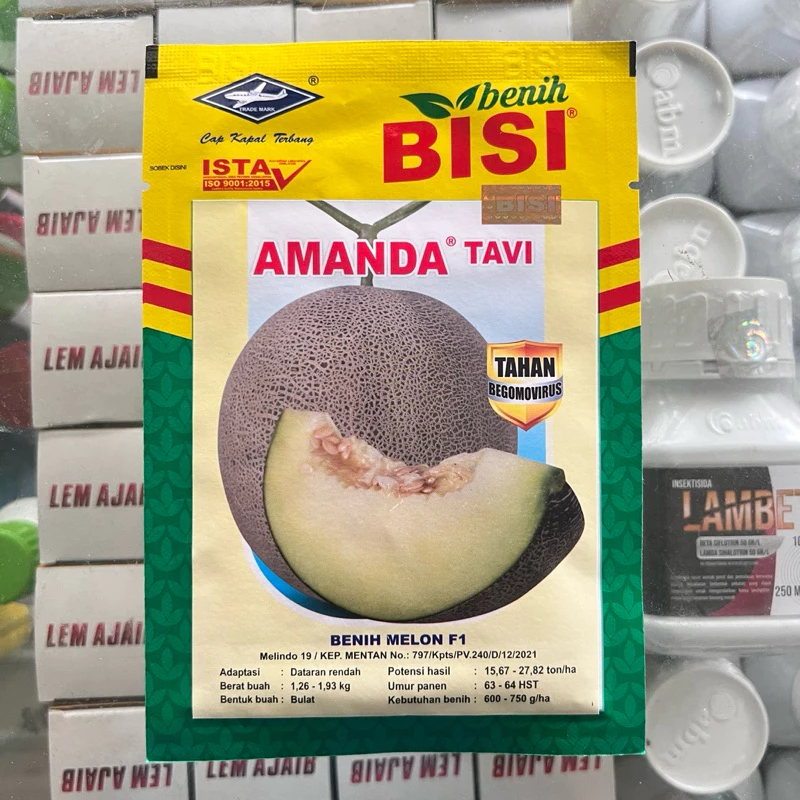 Bibit Melon F1 AMANDA TAVI 550 Butir Cap Kapal Terbang Tahan Virus