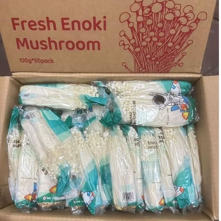 Jamur enoki 1dus isi 50pack
