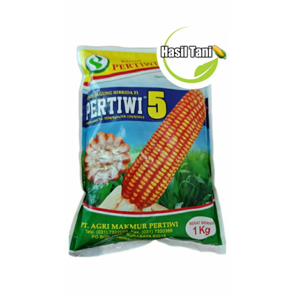 Jagung Hibrida Pertiwi 5 , 1 kg