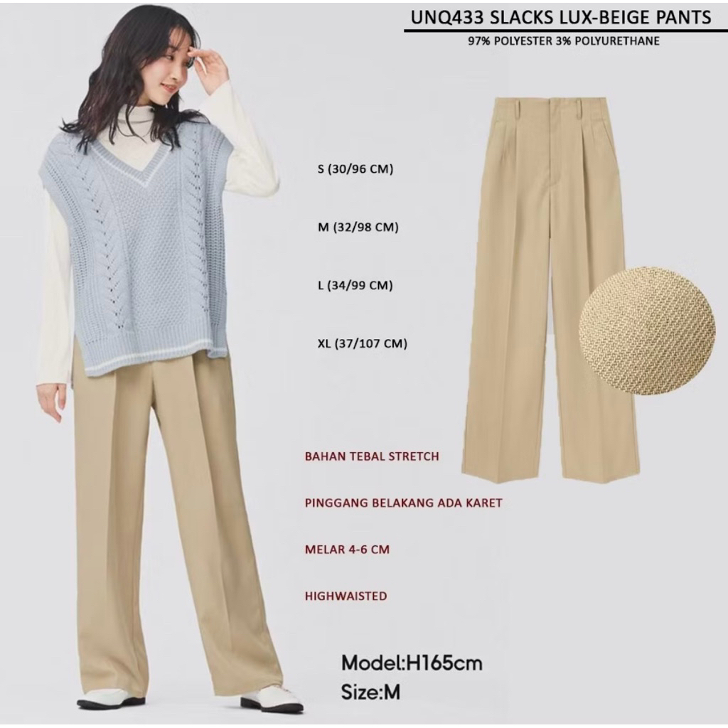 UNIQLO PLEATED WIDE PANTS