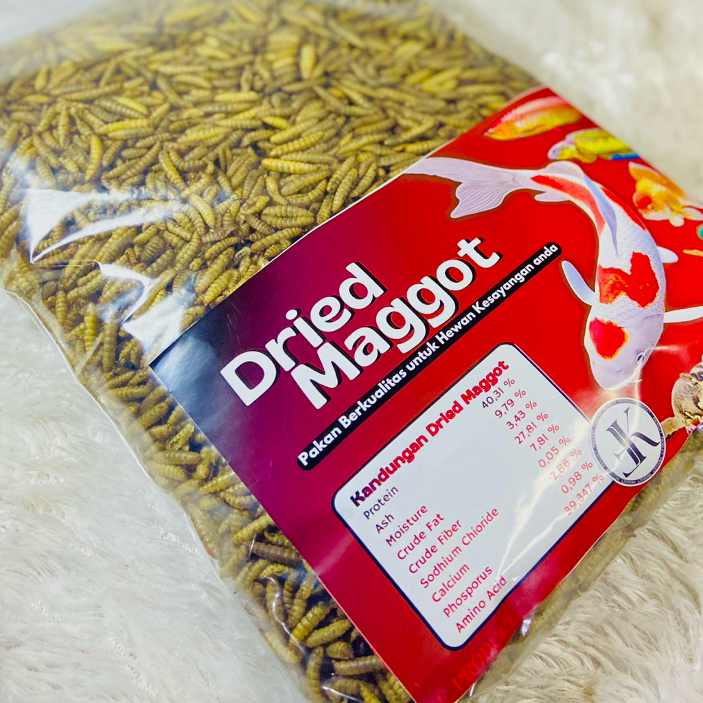 Maggot kering / dried maggot / makanan hewan / ikan koi / hamster / Maggot