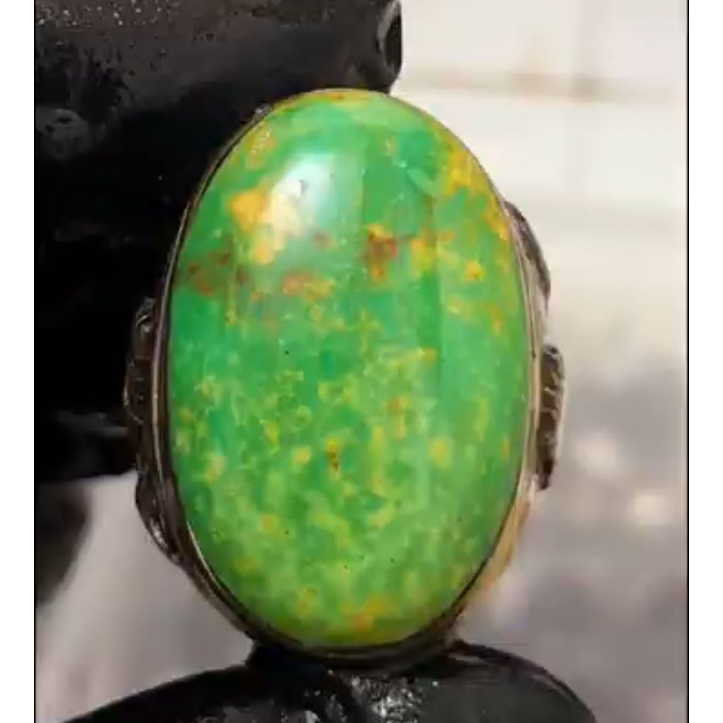 Pirus Persia Hijau Neyshabur urat emas size jumbo kode hijau jumbo