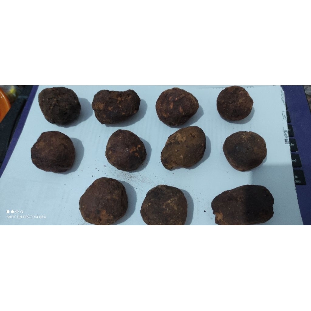 UKURAN SEDANG GAMBIR GETAH GAMBIR GAMBIR GAMBIR  BULAT ASLI MEDAN HARGA 1PCS HARGA 1 BIJI GAMBIR GAM