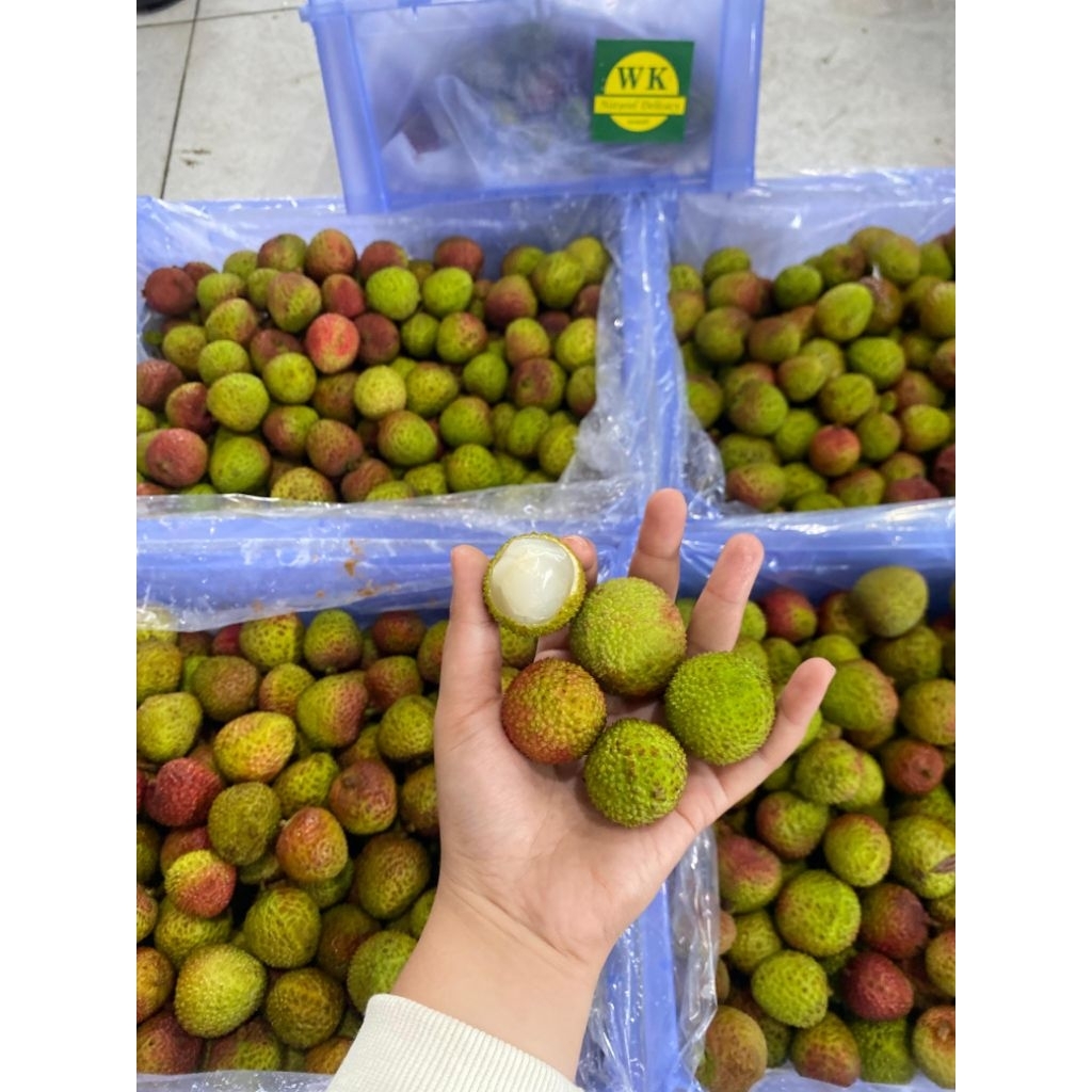 leci madu