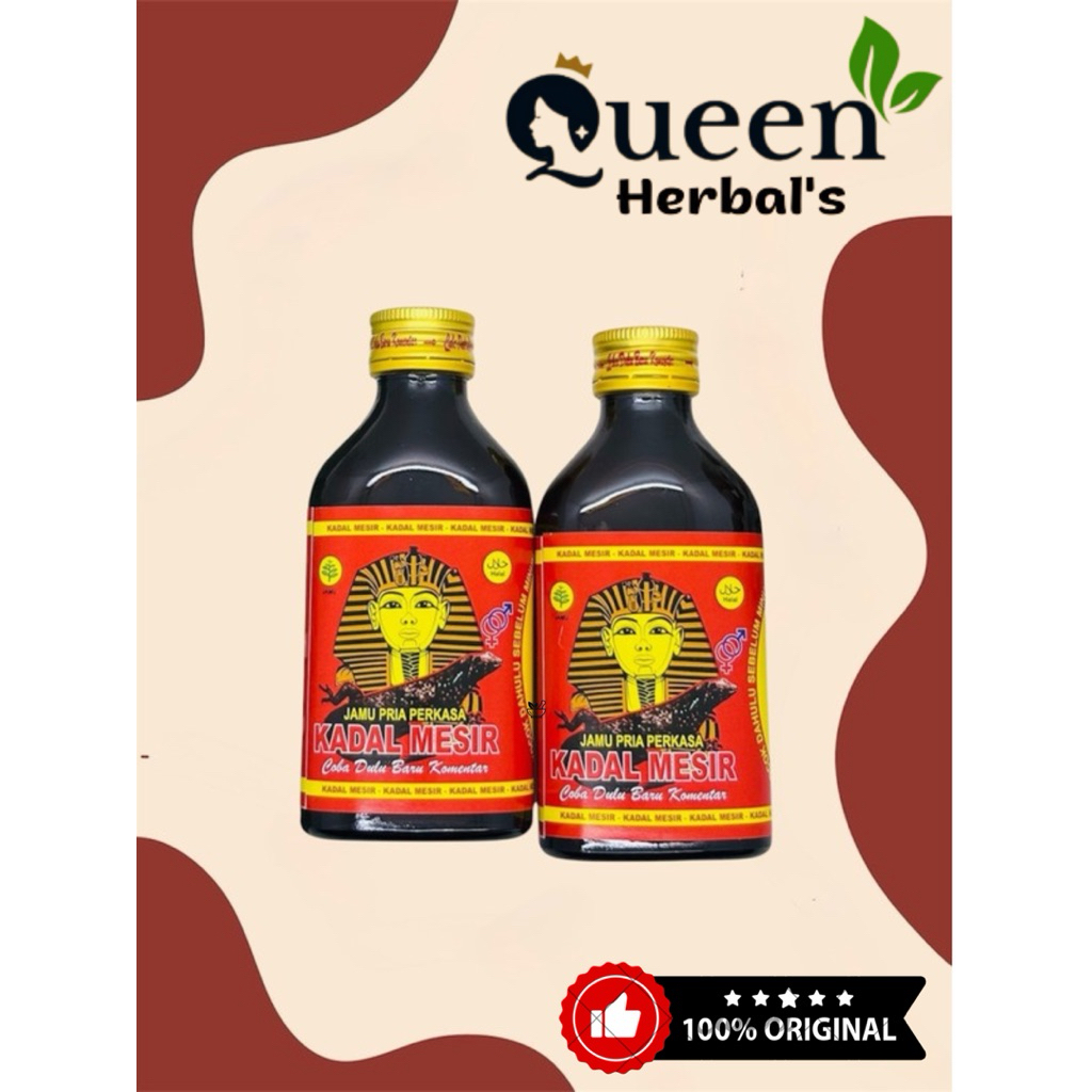 Jamu kadal Mesir B herbal