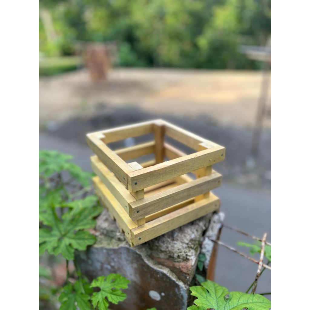Pot Anggrek Kayu Estetik / Vas Bunga Gantung Minimalis / Wooden Orchid Pot Aesthetic