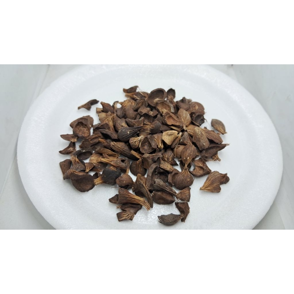 Biomassa Cangkang Kelapa Sawit Berserat (Fibrous Palm Kernel Shell) standar Penelitian