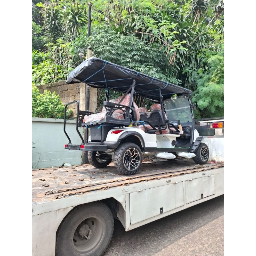BUGGY CAR /GOLF CAR (NEW)