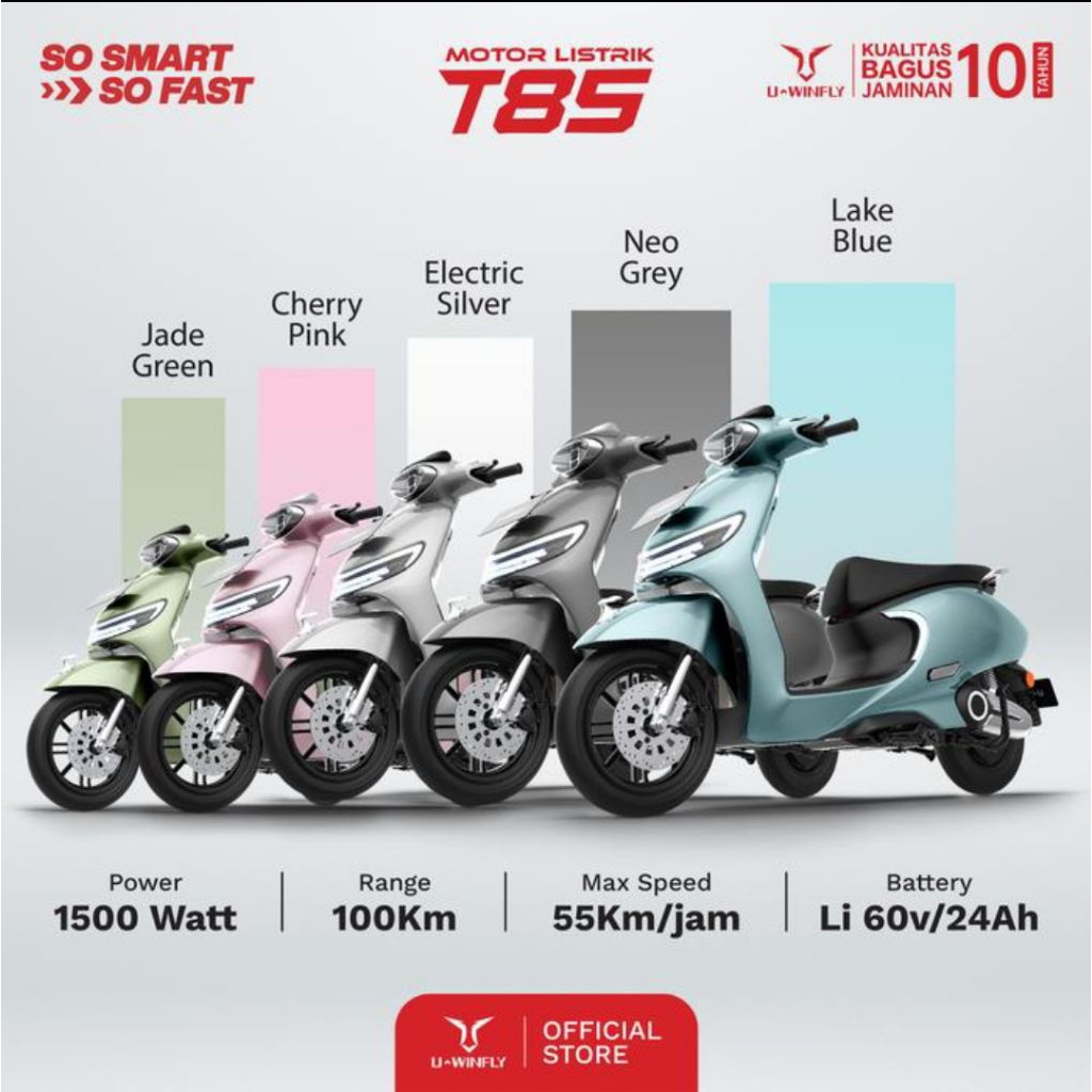 MOTOR LISTRIK UWINFLY T85